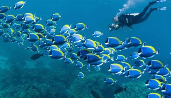 KOH YAO NOI SCUBA EXPERIENCE