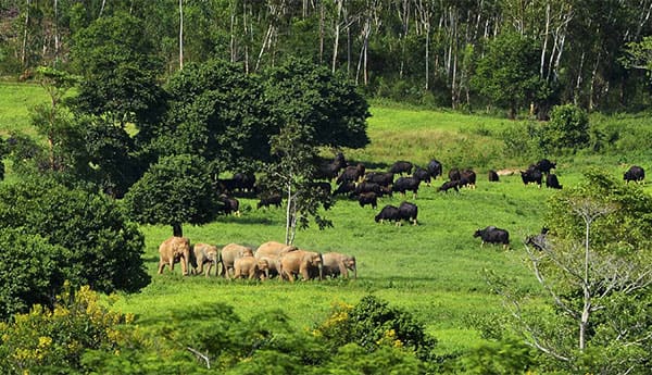 Kui Buri National Park