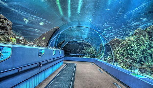 WAGHOR AQUARIUM